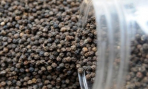 Hạt tiêu đen có tác dụng chữa bệnh