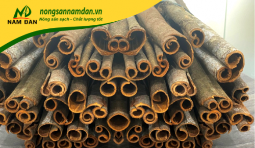 QUẾ KHÚC/QUẾ ỐNG SÁO