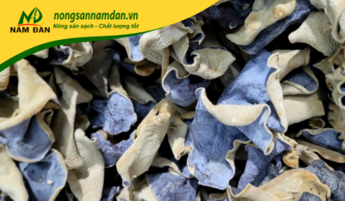 NẤM MÈO ĐÀ LẠT CẮT CHÂN